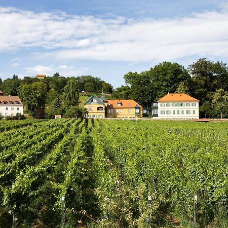 Weingut Haus Steinbach Villa Radebeul Exterior foto