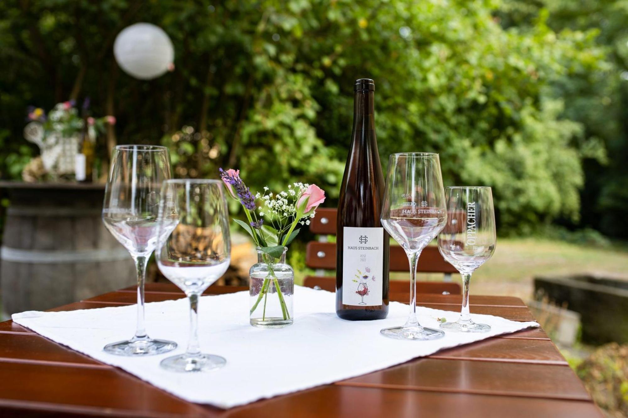 Weingut Haus Steinbach Villa Radebeul Exterior foto