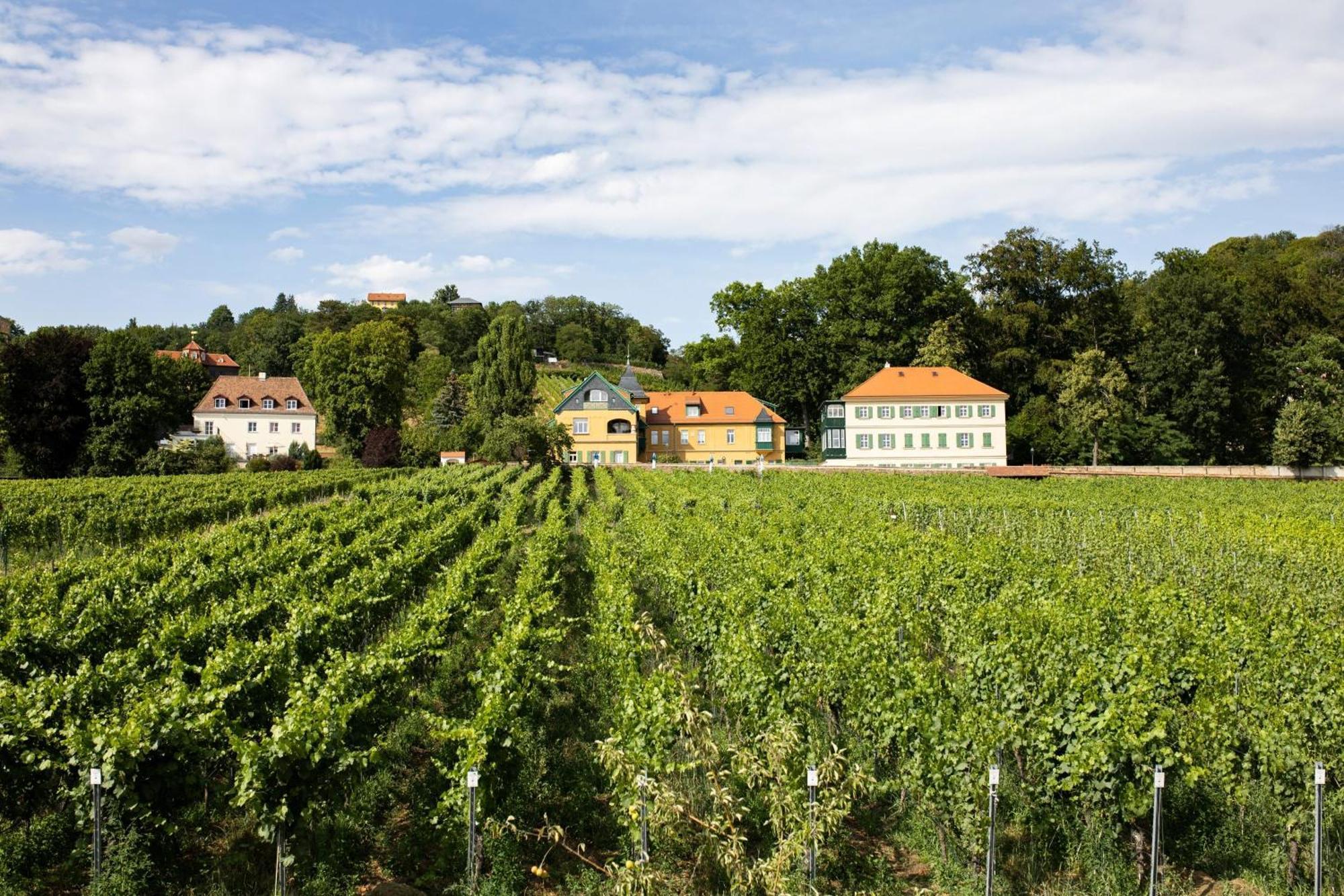 Weingut Haus Steinbach Villa Radebeul Exterior foto