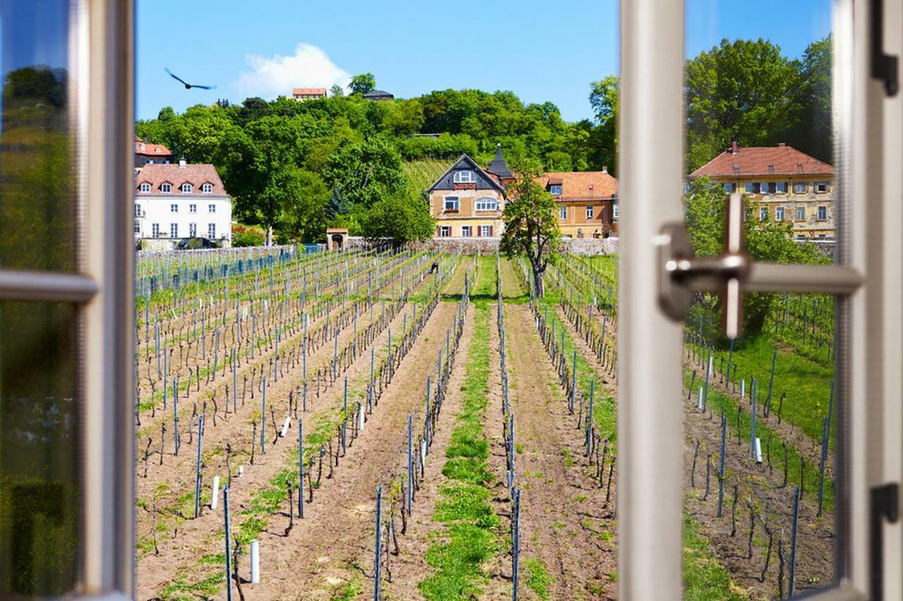 Weingut Haus Steinbach Villa Radebeul Exterior foto